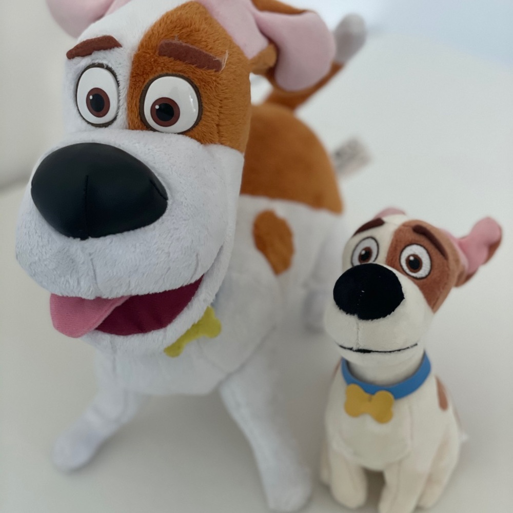 Talking Plush Buddy Max!